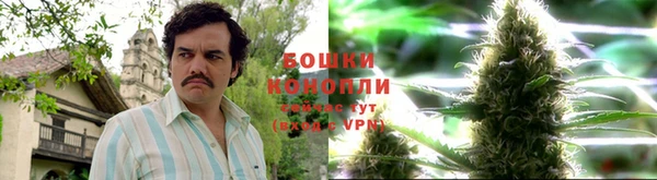 сатива Медвежьегорск
