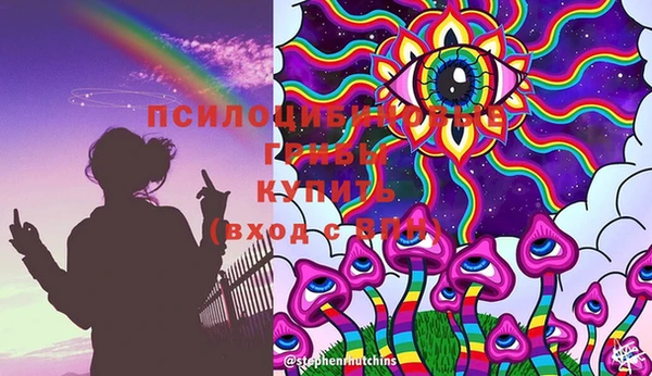 apvp Мегион